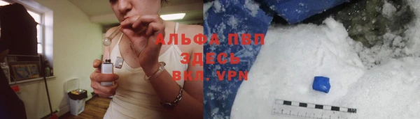 стафф Алзамай