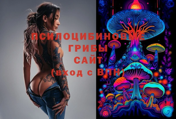 амфетамин Алексеевка