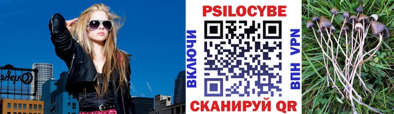 Псилоцибиновые грибы прущие грибы Петровск-Забайкальский